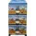 Комод пластик в детскую на 3 ящика Море для мальчика Elif Plastik 298-40-3