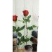 Шторка в душ  Jackline Red Rose BS12005 Красные розы полиестр