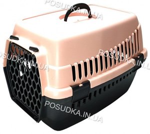 Перенесення для авіаперельотів кішок